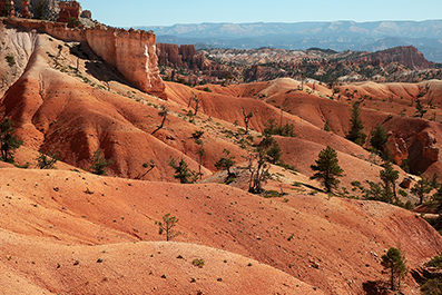Bryce Canyon : Utah : Landscape Photos : Richard Moore : Photographer